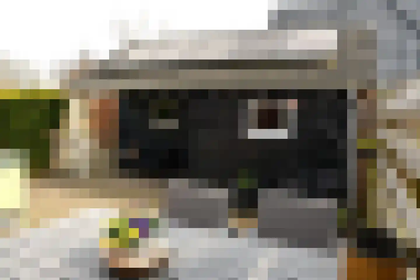 Wilg 2 Leek thumbnail 42