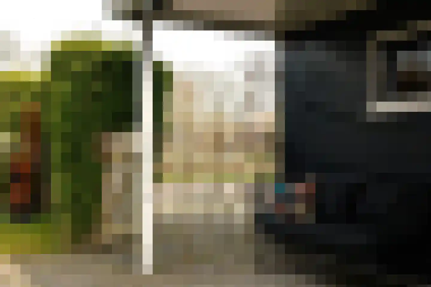 Wilg 2 Leek thumbnail 43