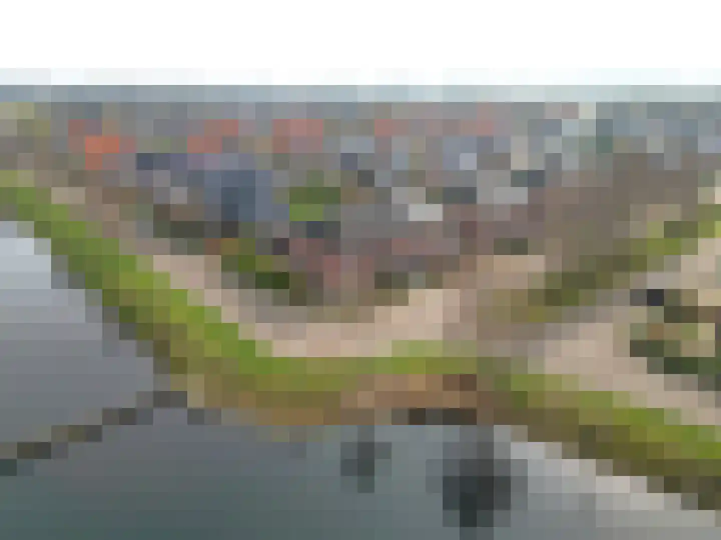 Wilg 2 Leek thumbnail 46