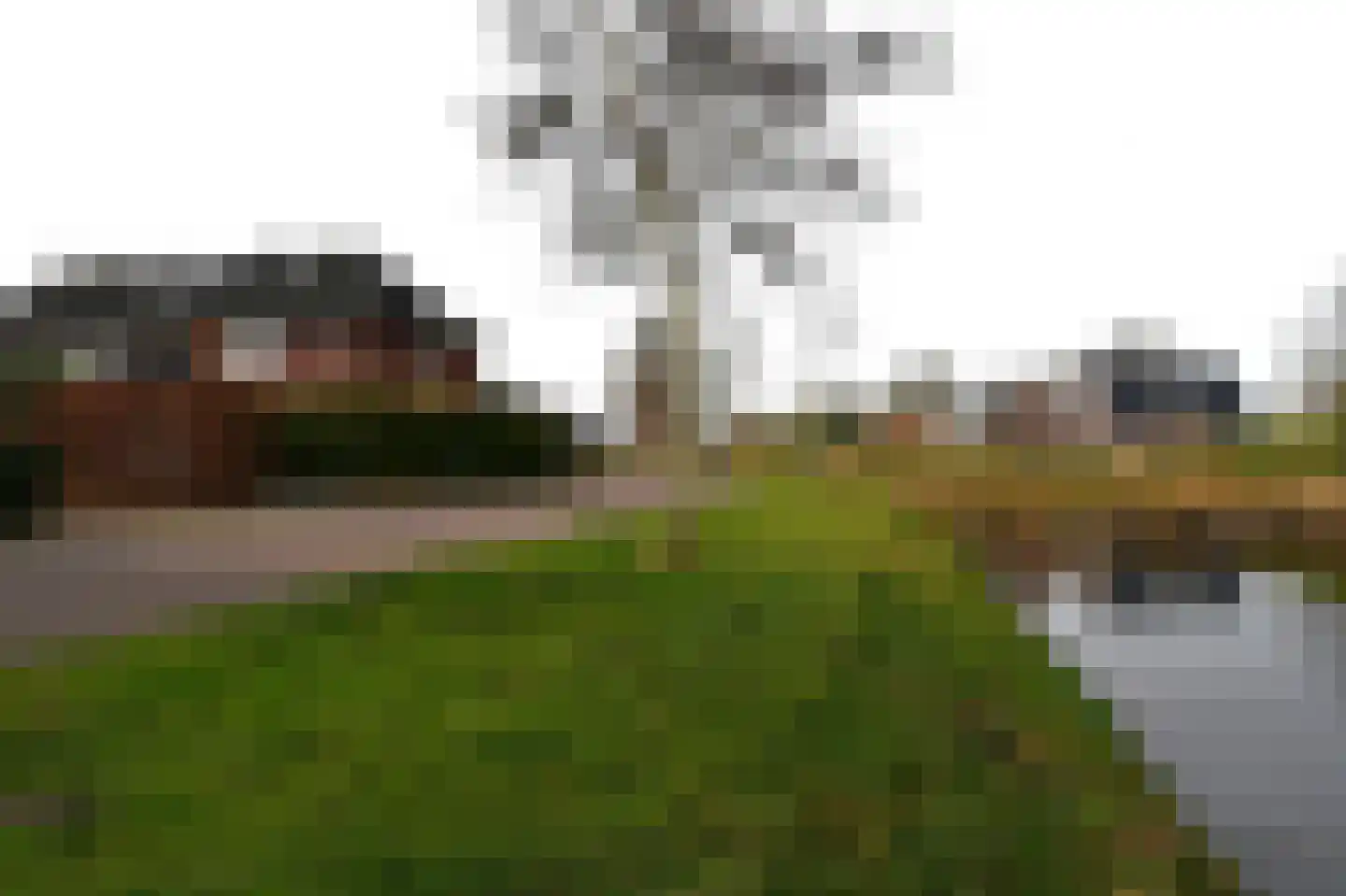 Wilg 2 Leek thumbnail 47