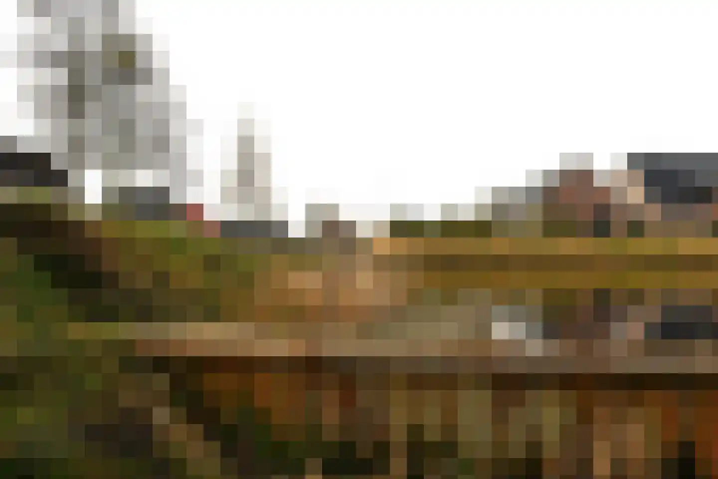 Wilg 2 Leek thumbnail 48