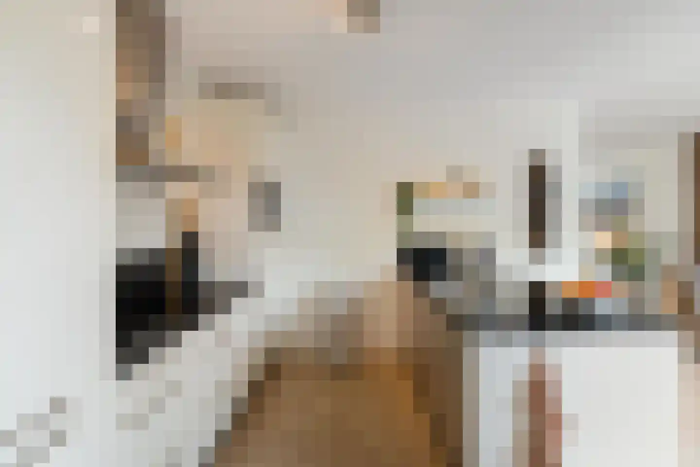 Wilg 3 Leek thumbnail 17