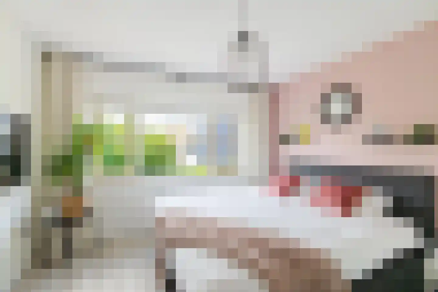 Wilg 3 Leek thumbnail 24