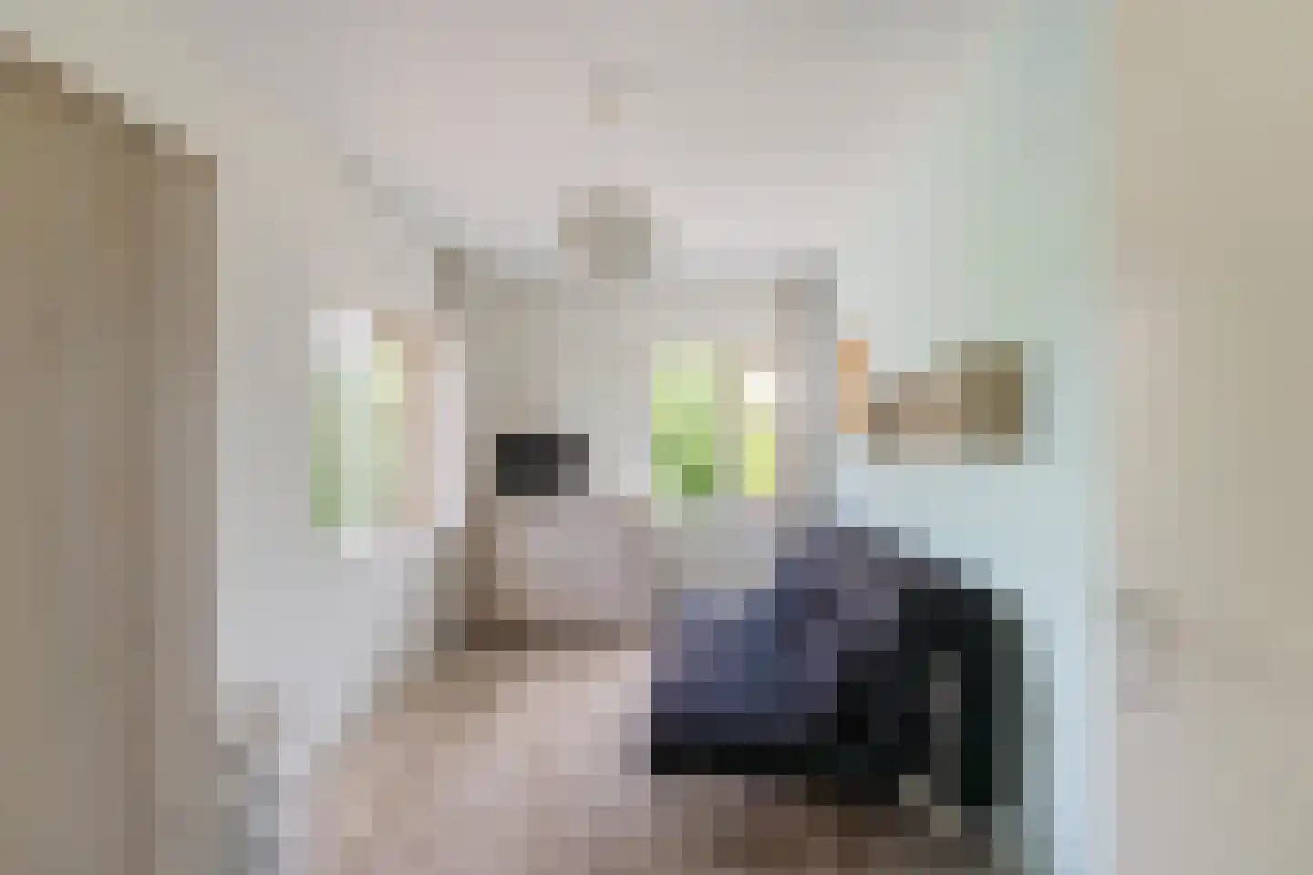 Wilg 3 Leek thumbnail 29