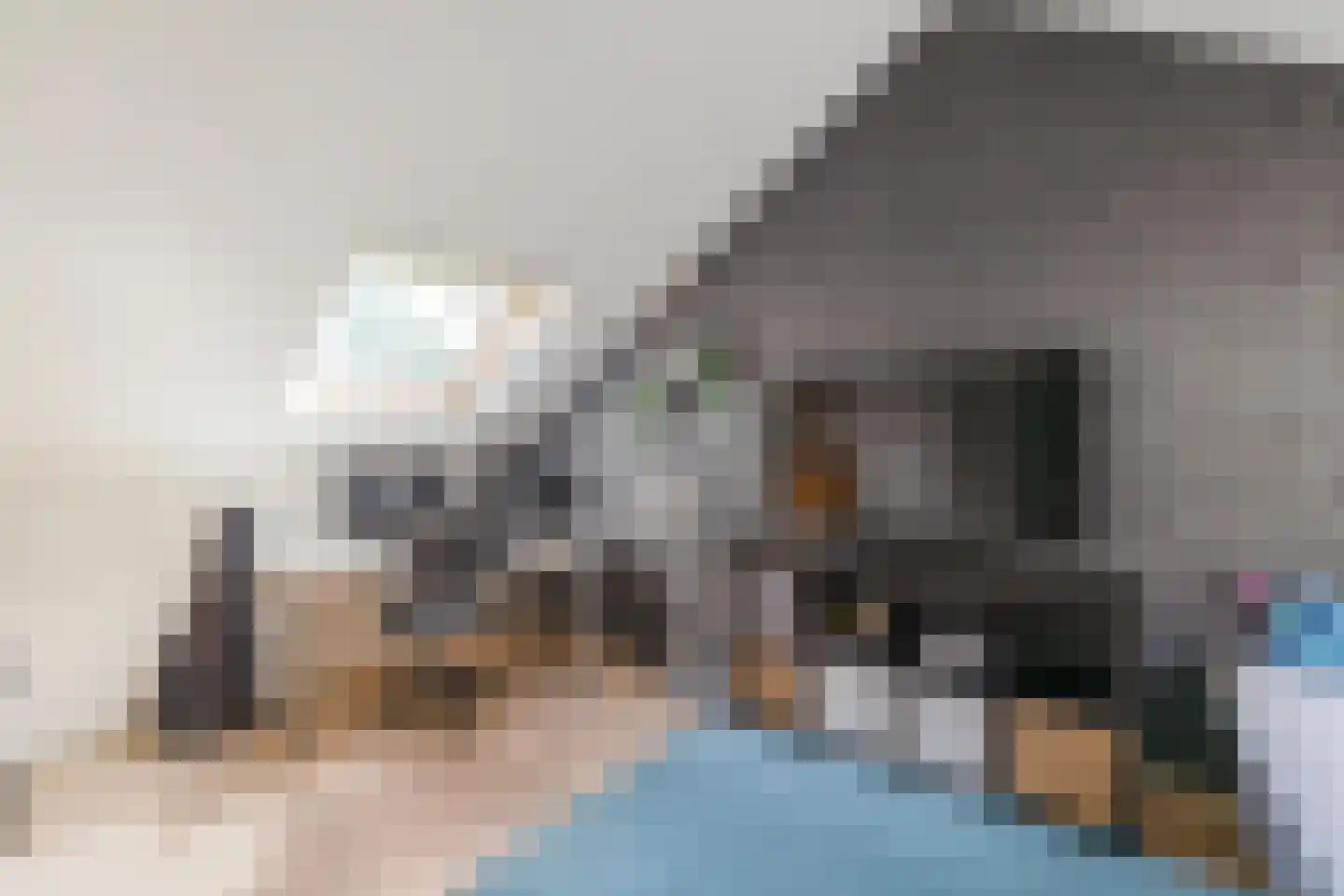 Wilg 3 Leek thumbnail 37