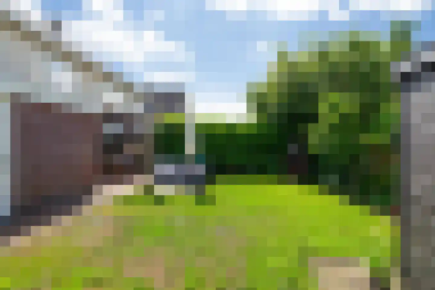 Wilg 3 Leek thumbnail 40