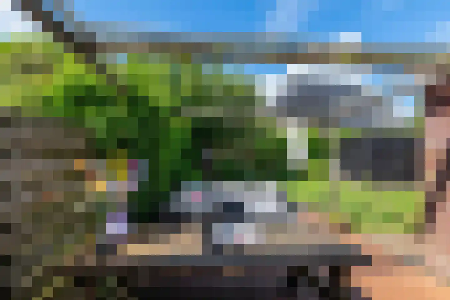 Wilg 3 Leek thumbnail 42