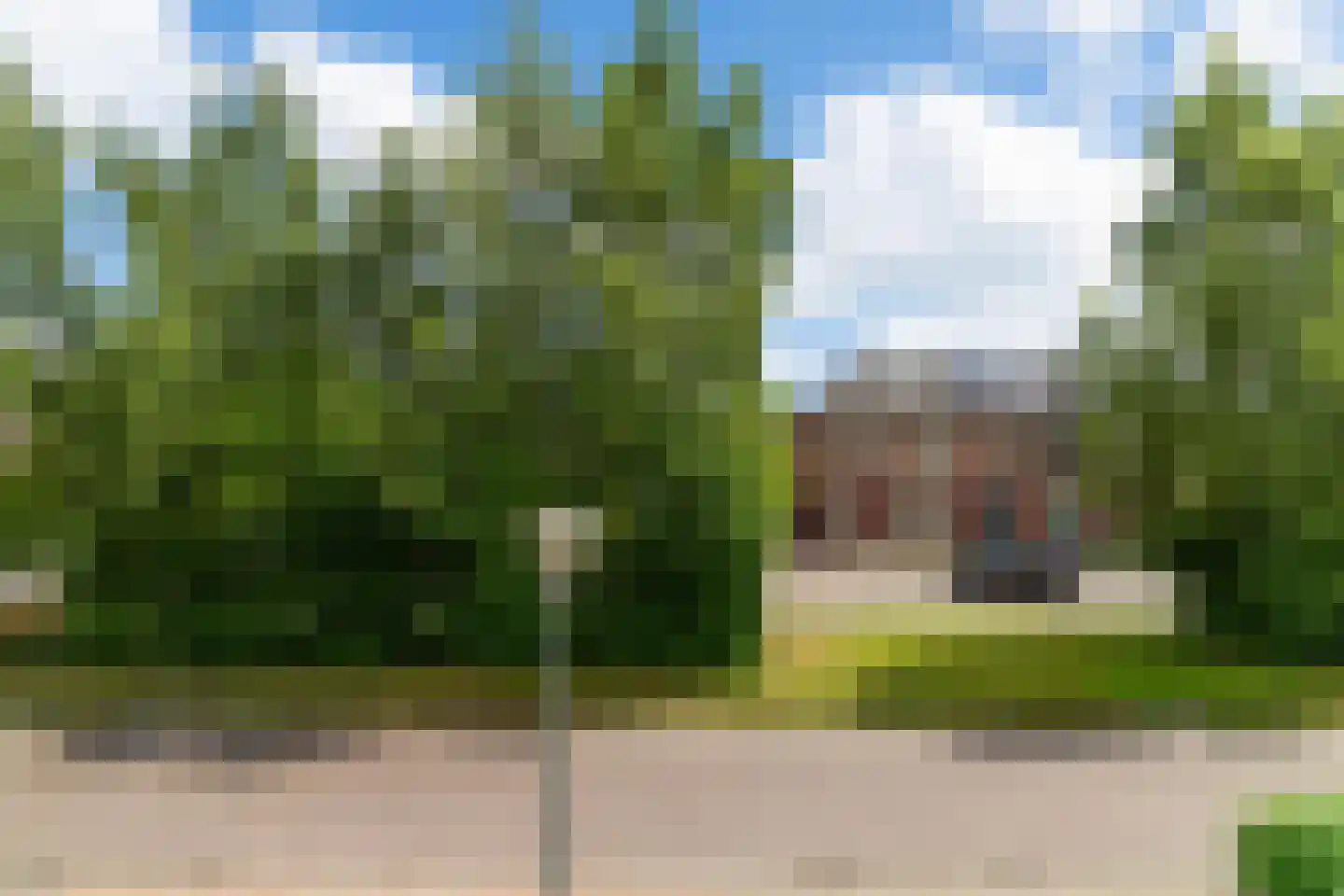 Wilg 3 Leek thumbnail 46