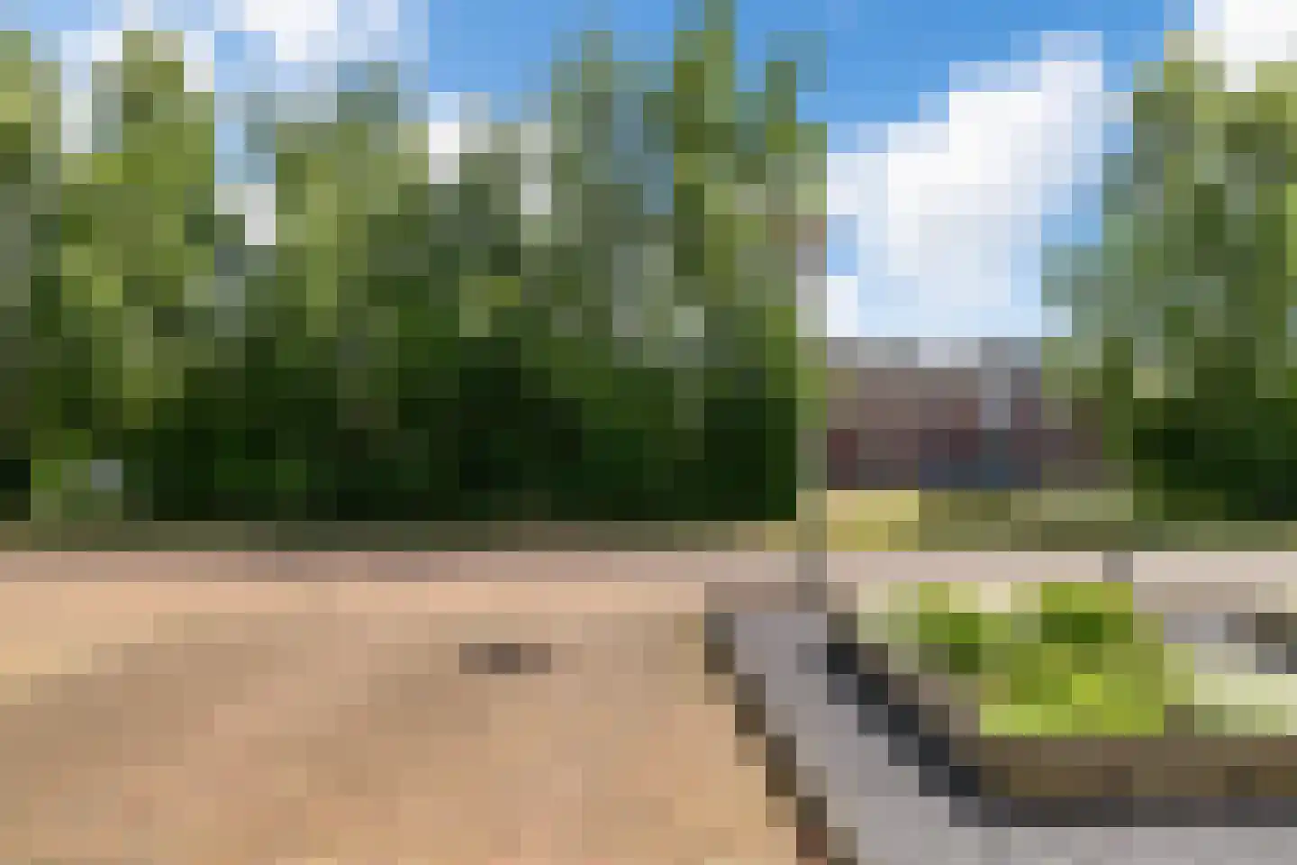 Wilg 3 Leek thumbnail 47