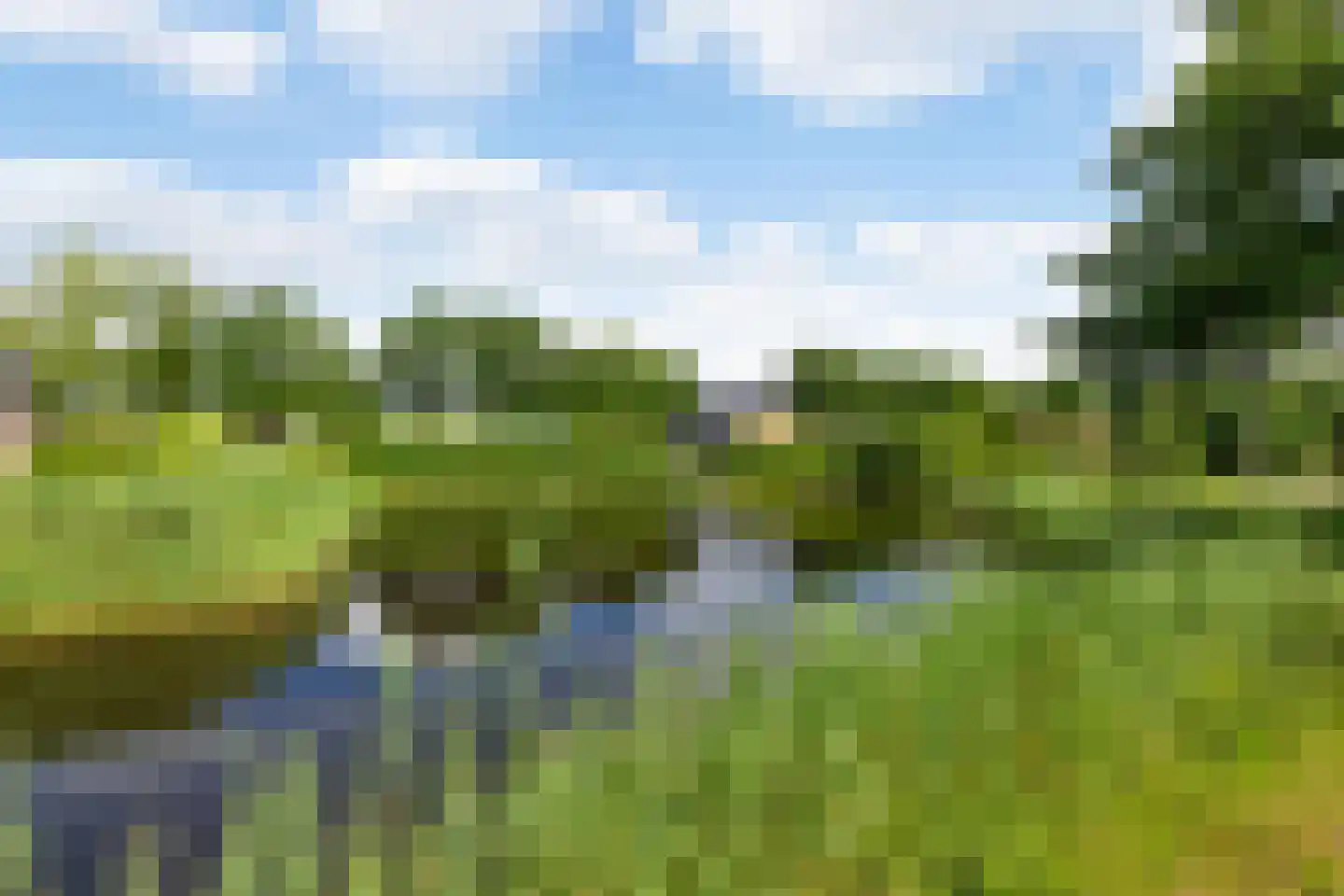 Wilg 3 Leek thumbnail 48