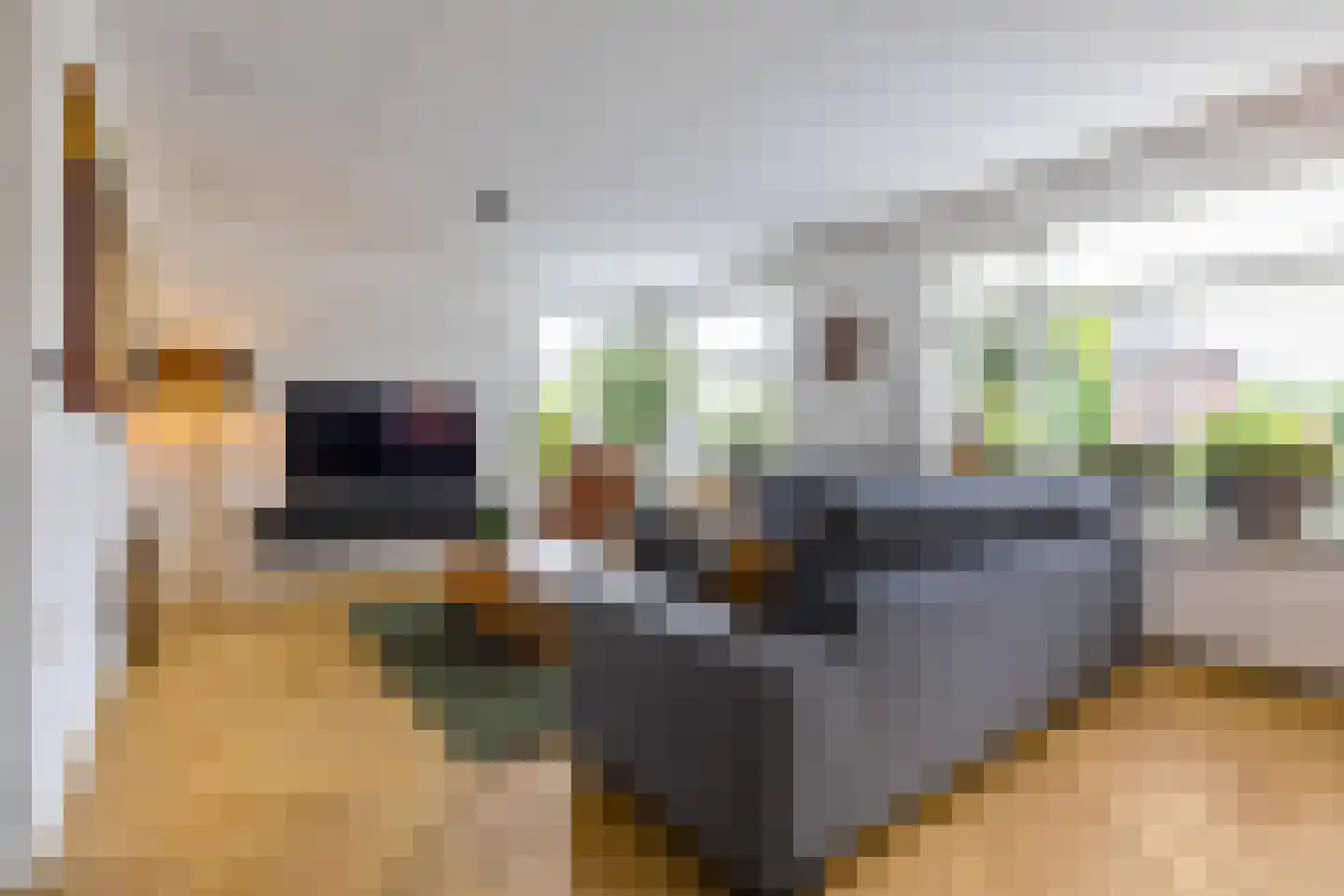 Wilg 9 Leek thumbnail 10