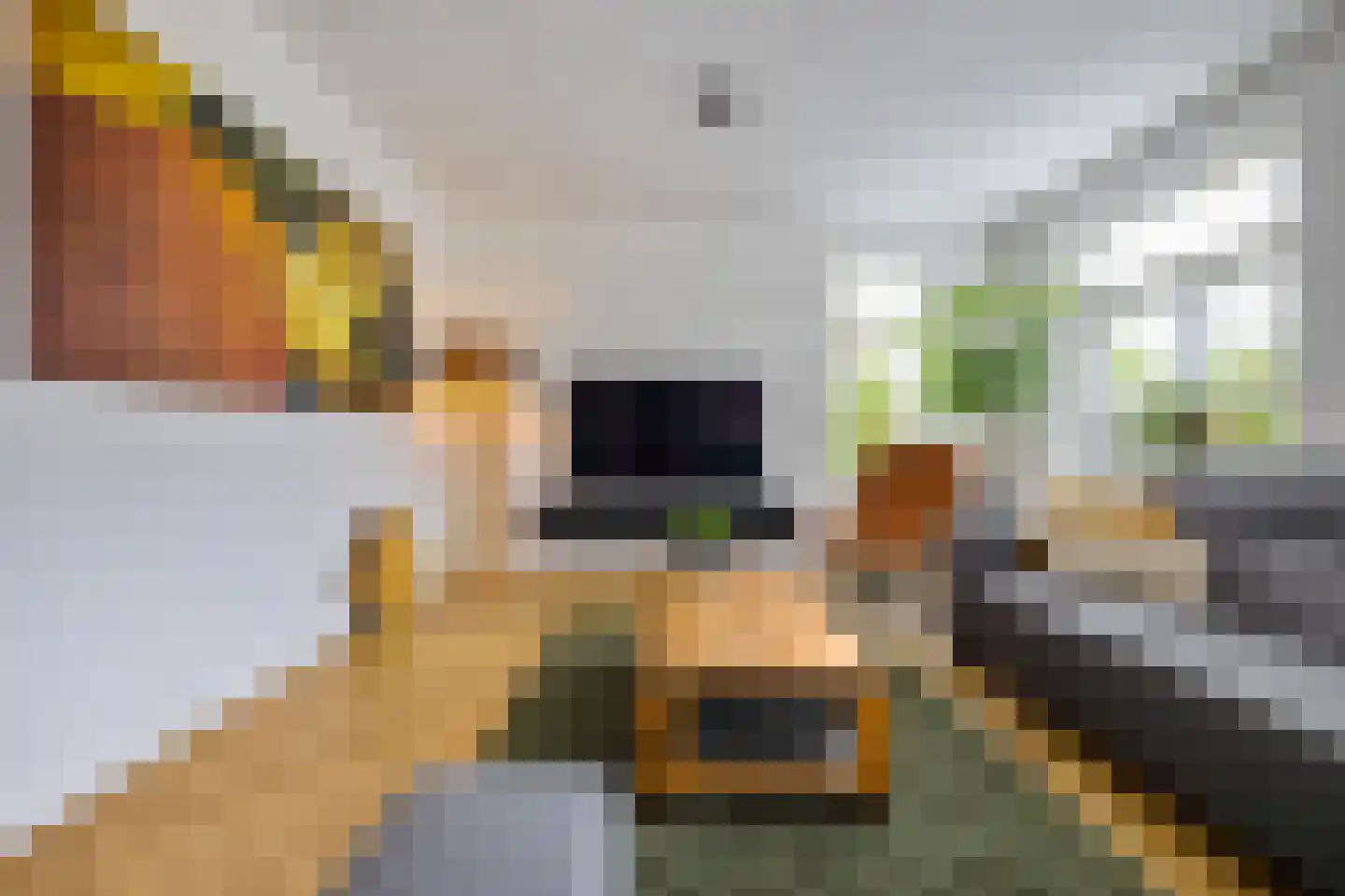 Wilg 9 Leek thumbnail 11