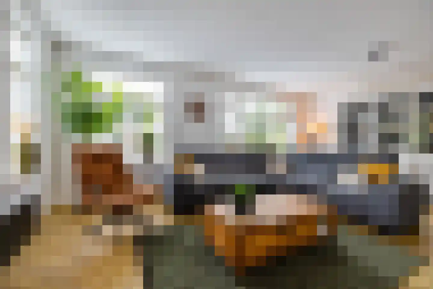 Wilg 9 Leek thumbnail 12