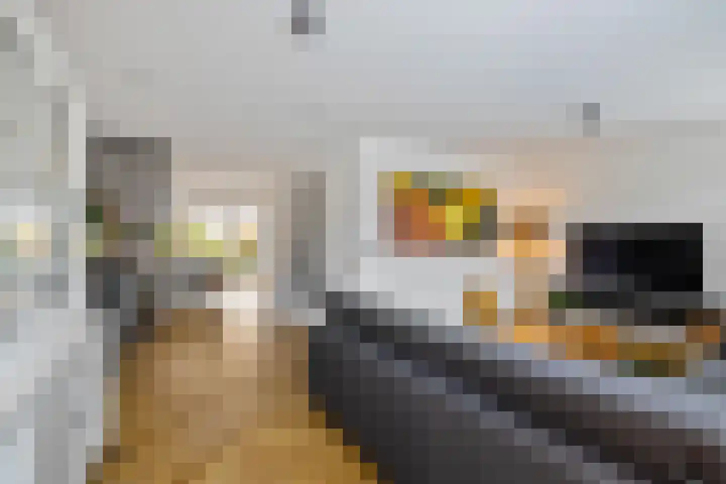 Wilg 9 Leek thumbnail 13