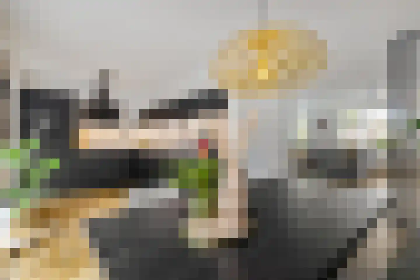Wilg 9 Leek thumbnail 17