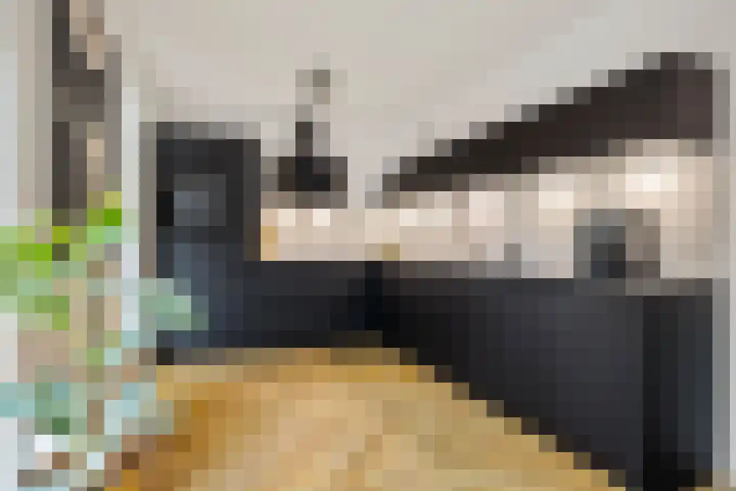 Wilg 9 Leek thumbnail 18