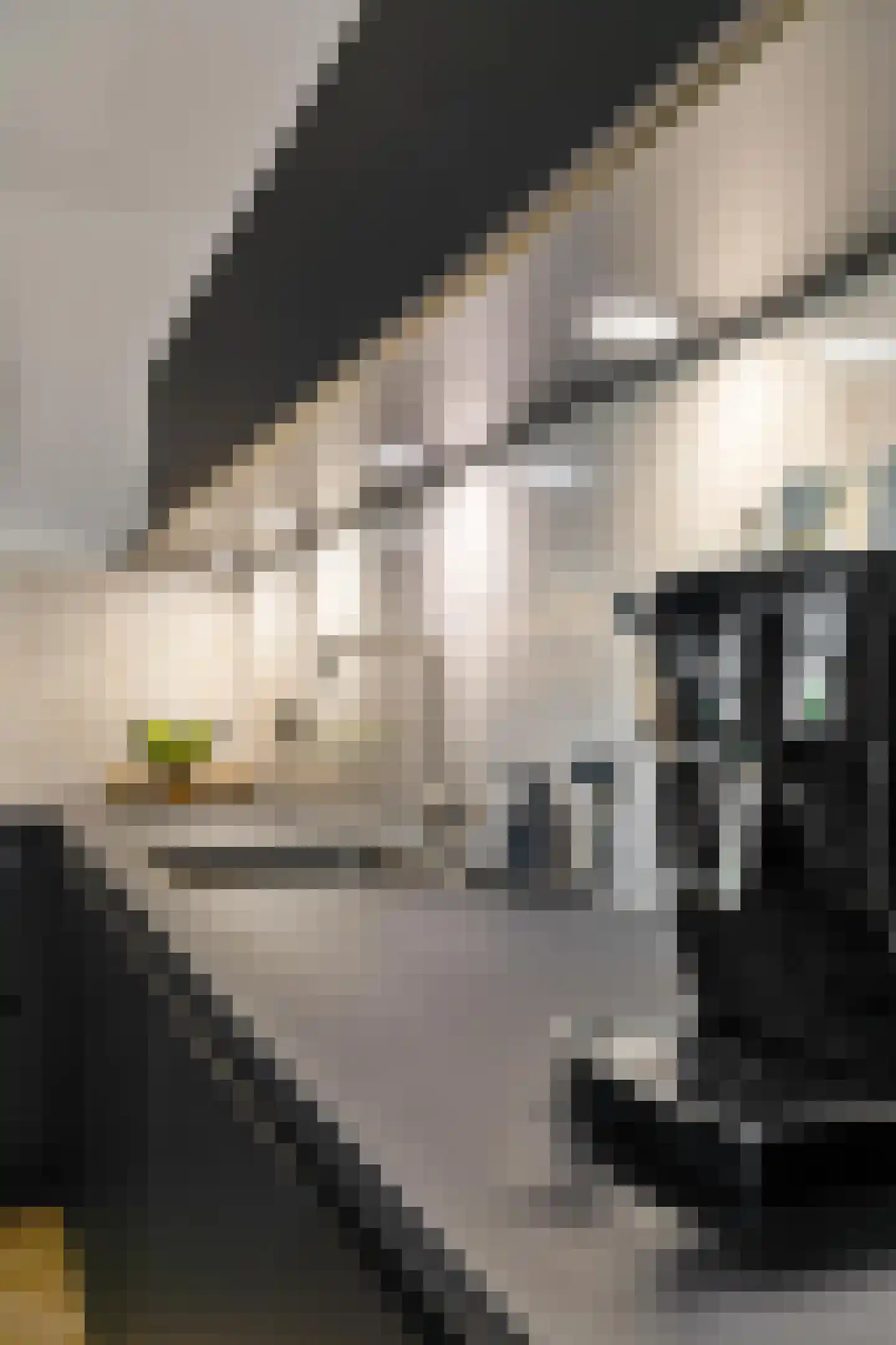 Wilg 9 Leek thumbnail 19