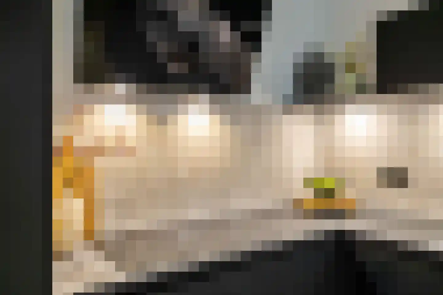 Wilg 9 Leek thumbnail 20