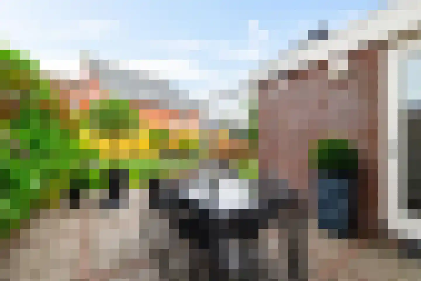 Wilg 9 Leek thumbnail 24