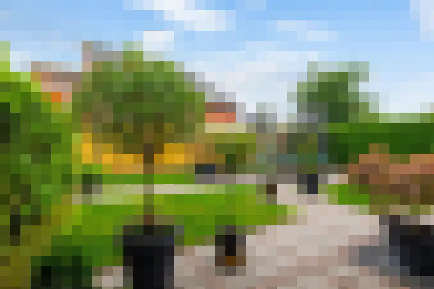 Wilg 9 Leek thumbnail 25