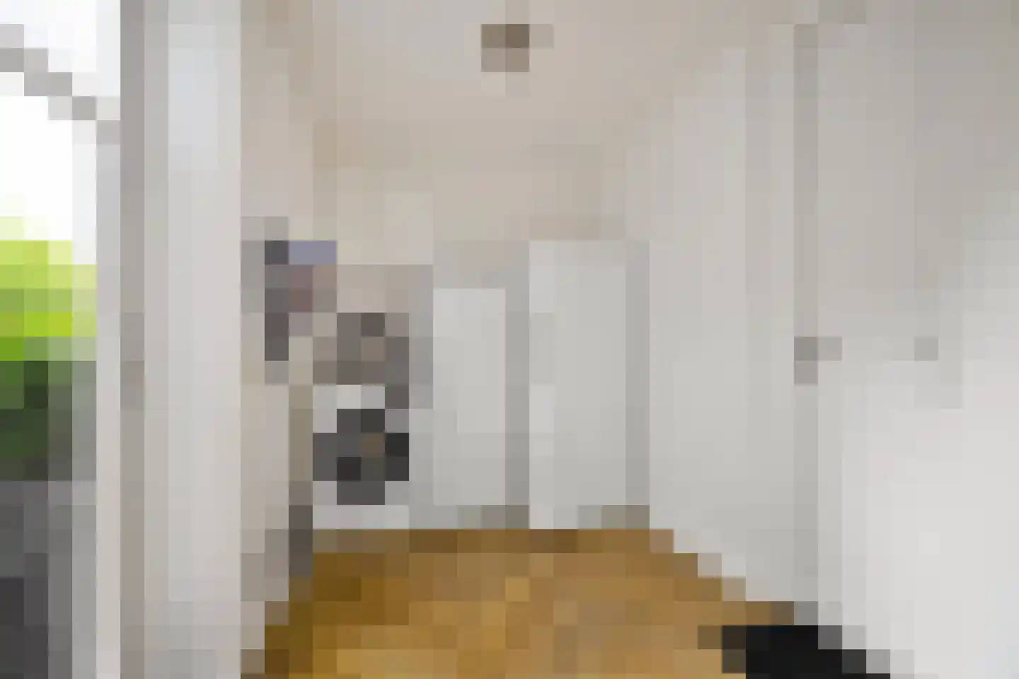 Wilg 9 Leek thumbnail 30