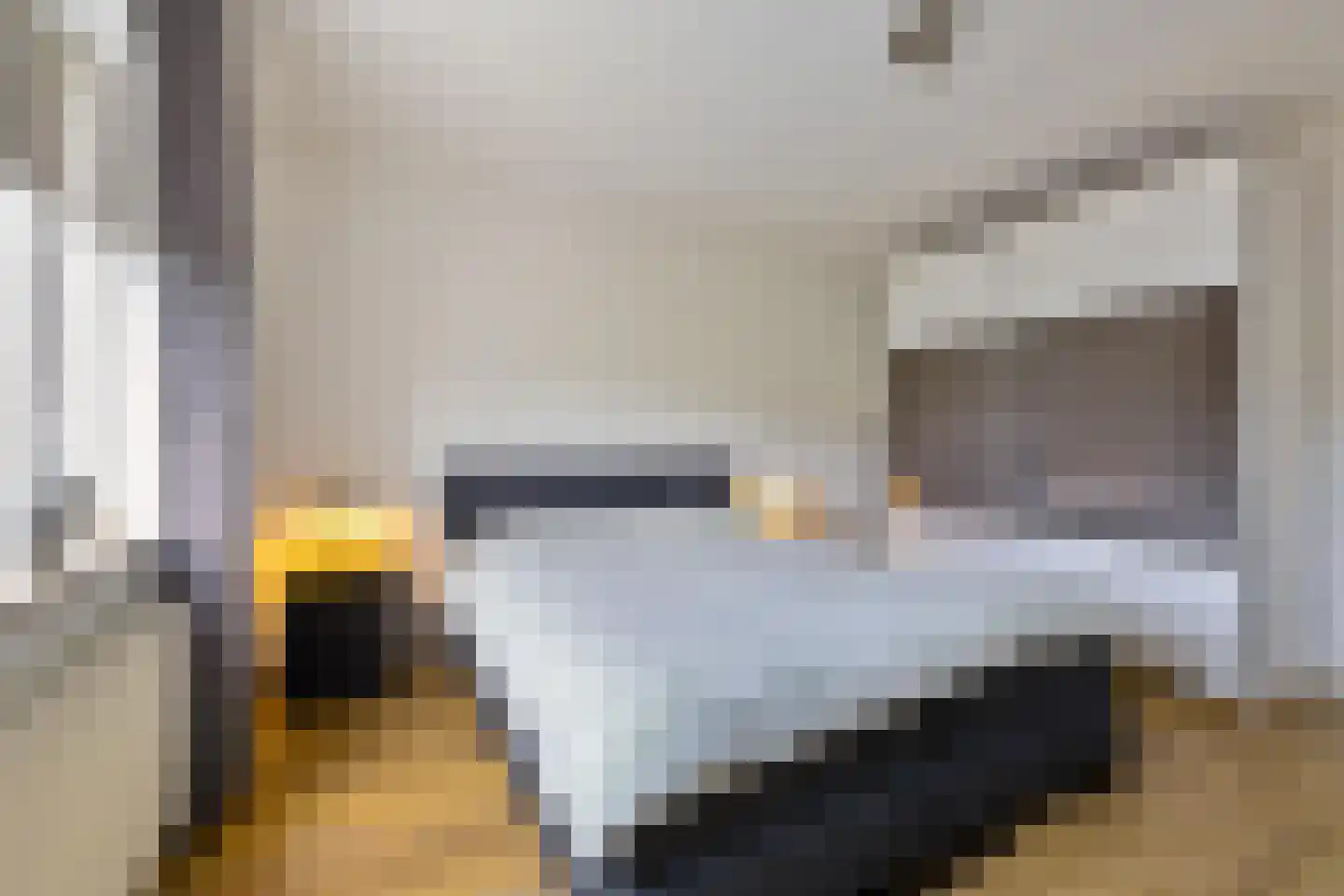 Wilg 9 Leek thumbnail 40