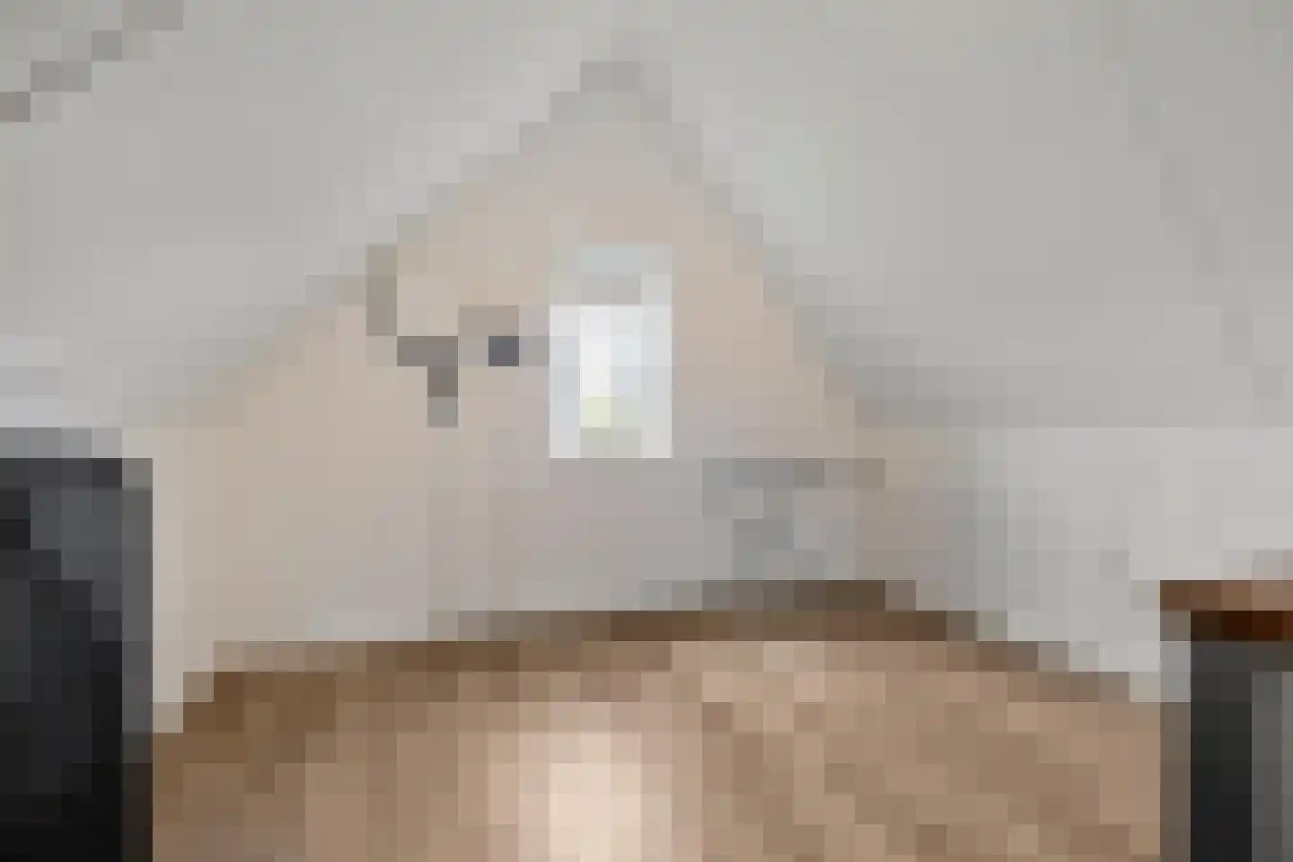 Wilg 9 Leek thumbnail 43
