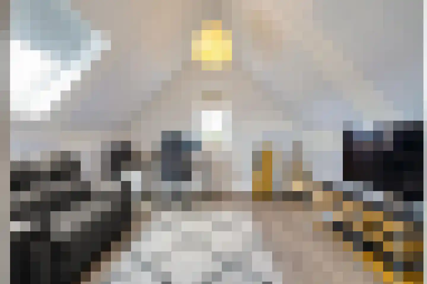 Wilg 9 Leek thumbnail 45