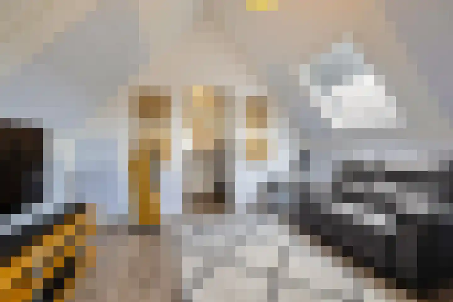 Wilg 9 Leek thumbnail 46