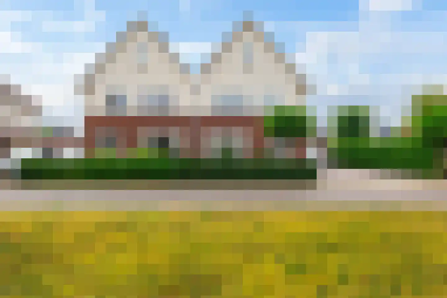 Wilg 9 Leek thumbnail 47