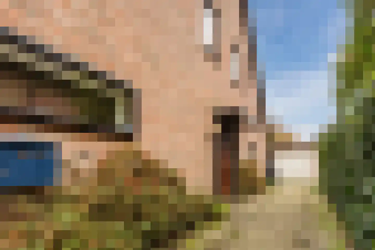 Wilgeboom 15 Culemborg thumbnail 4