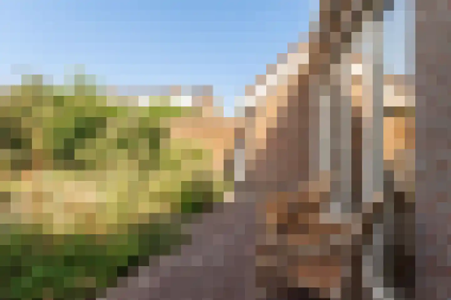 Wilgeboom 51 Culemborg thumbnail 22
