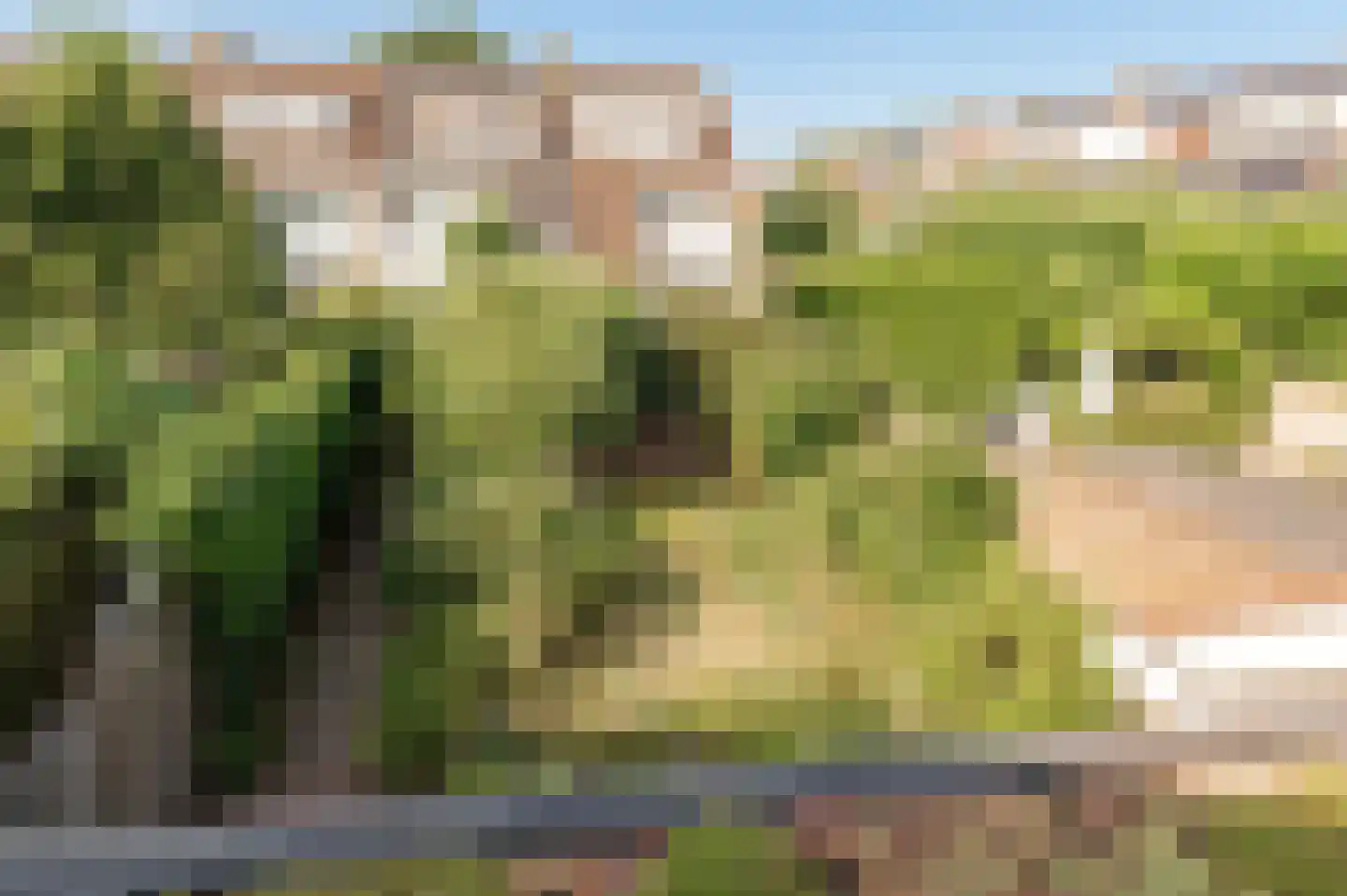 Wilgeboom 51 Culemborg thumbnail 32