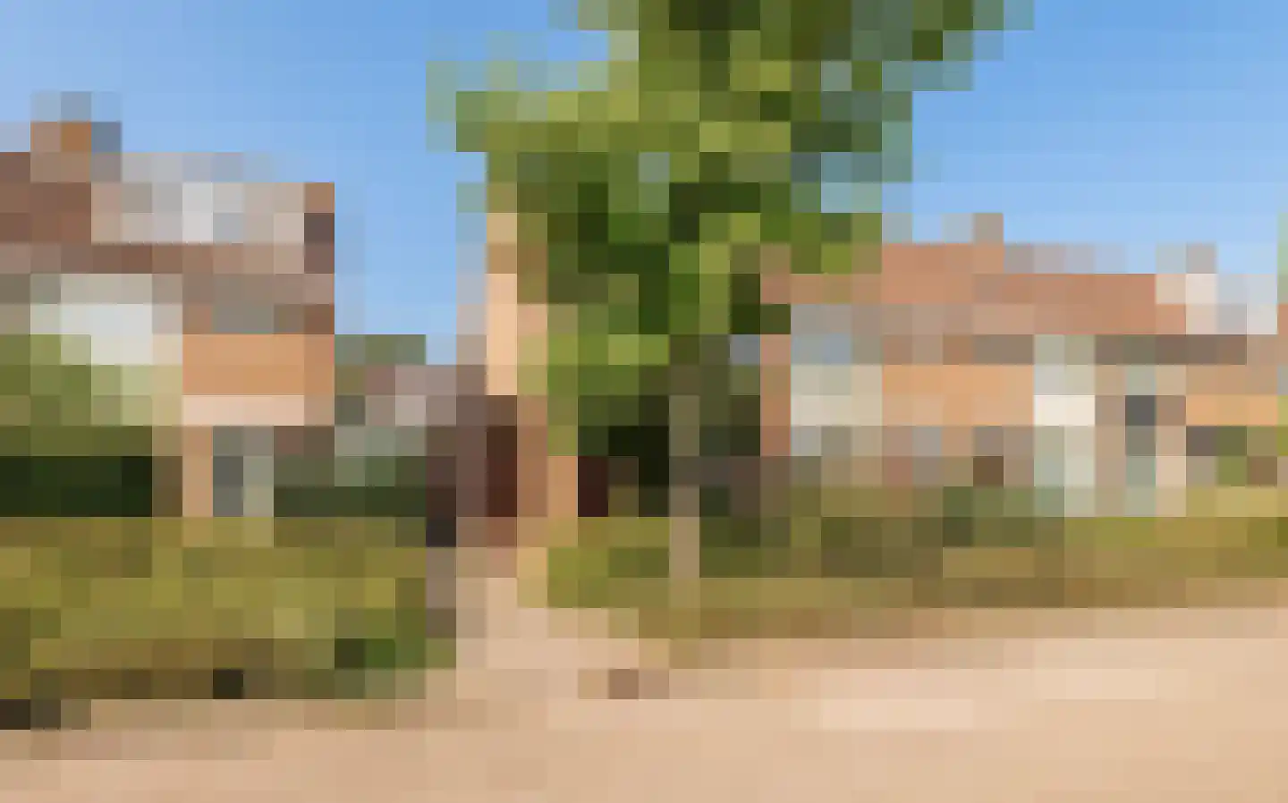 Wilgeboom 51 Culemborg thumbnail 45