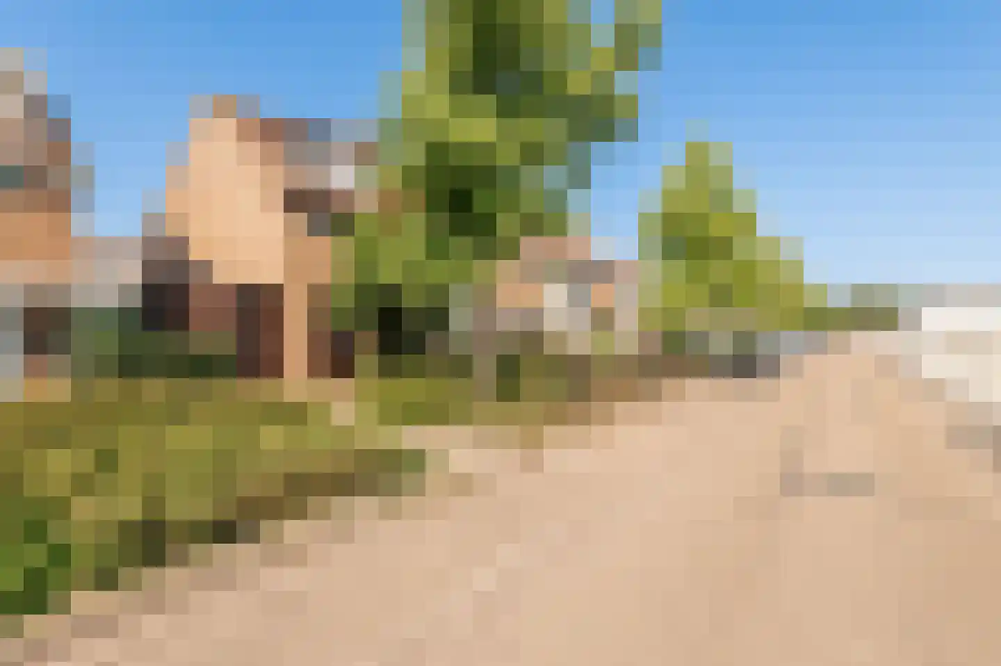 Wilgeboom 51 Culemborg thumbnail 5