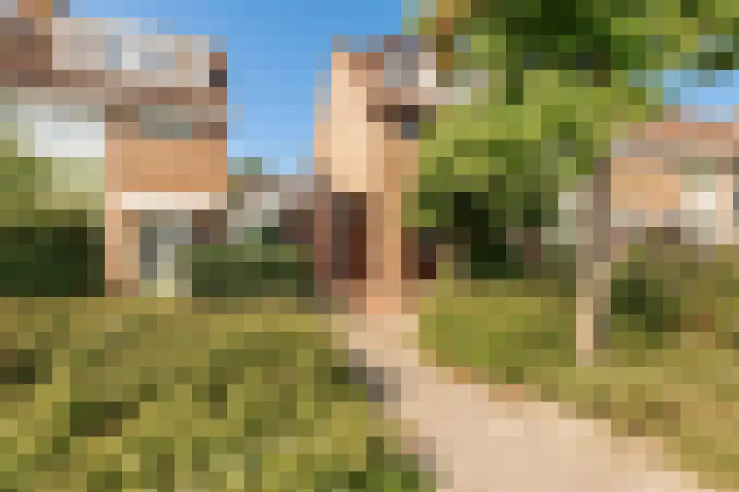 Wilgeboom 51 Culemborg thumbnail 6