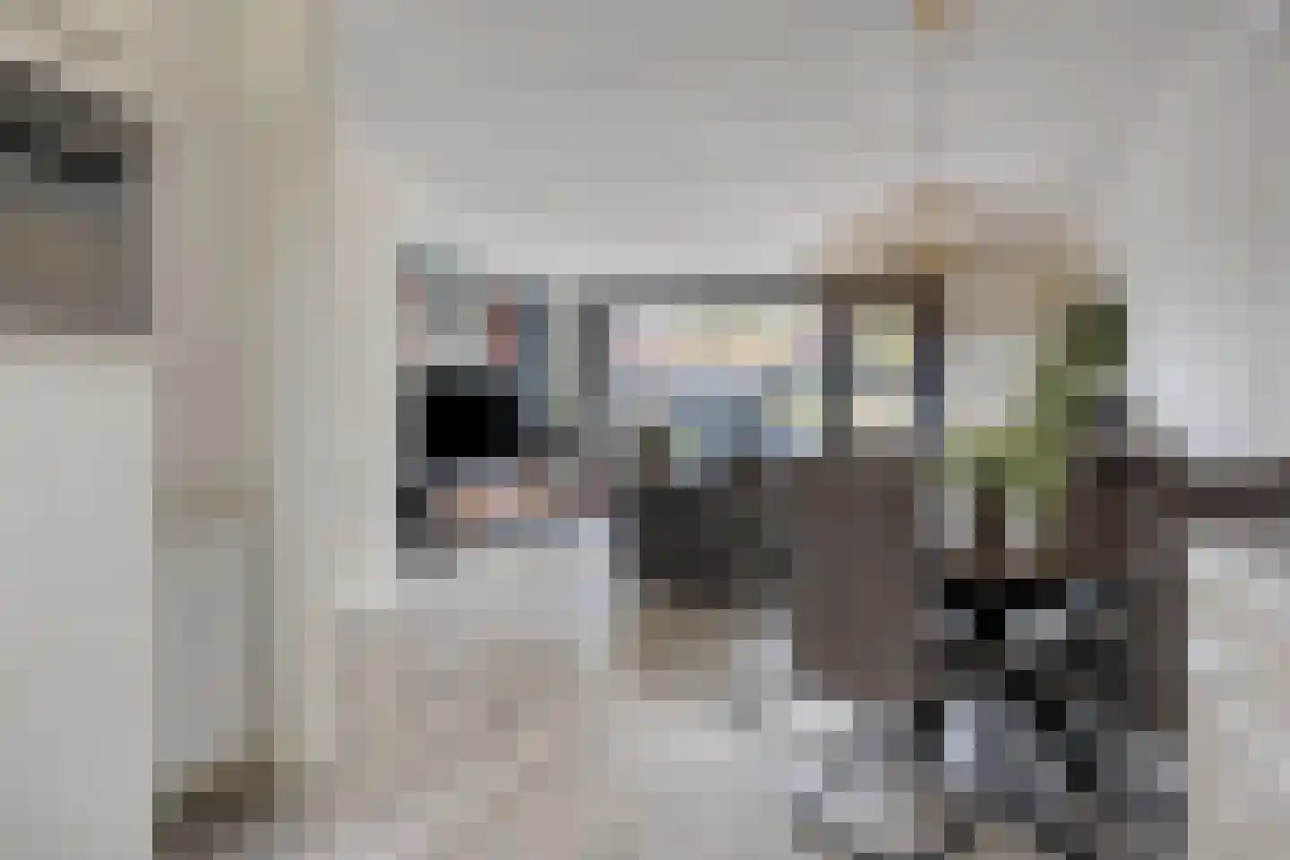 Wilgehaantje 10 Deventer thumbnail 13