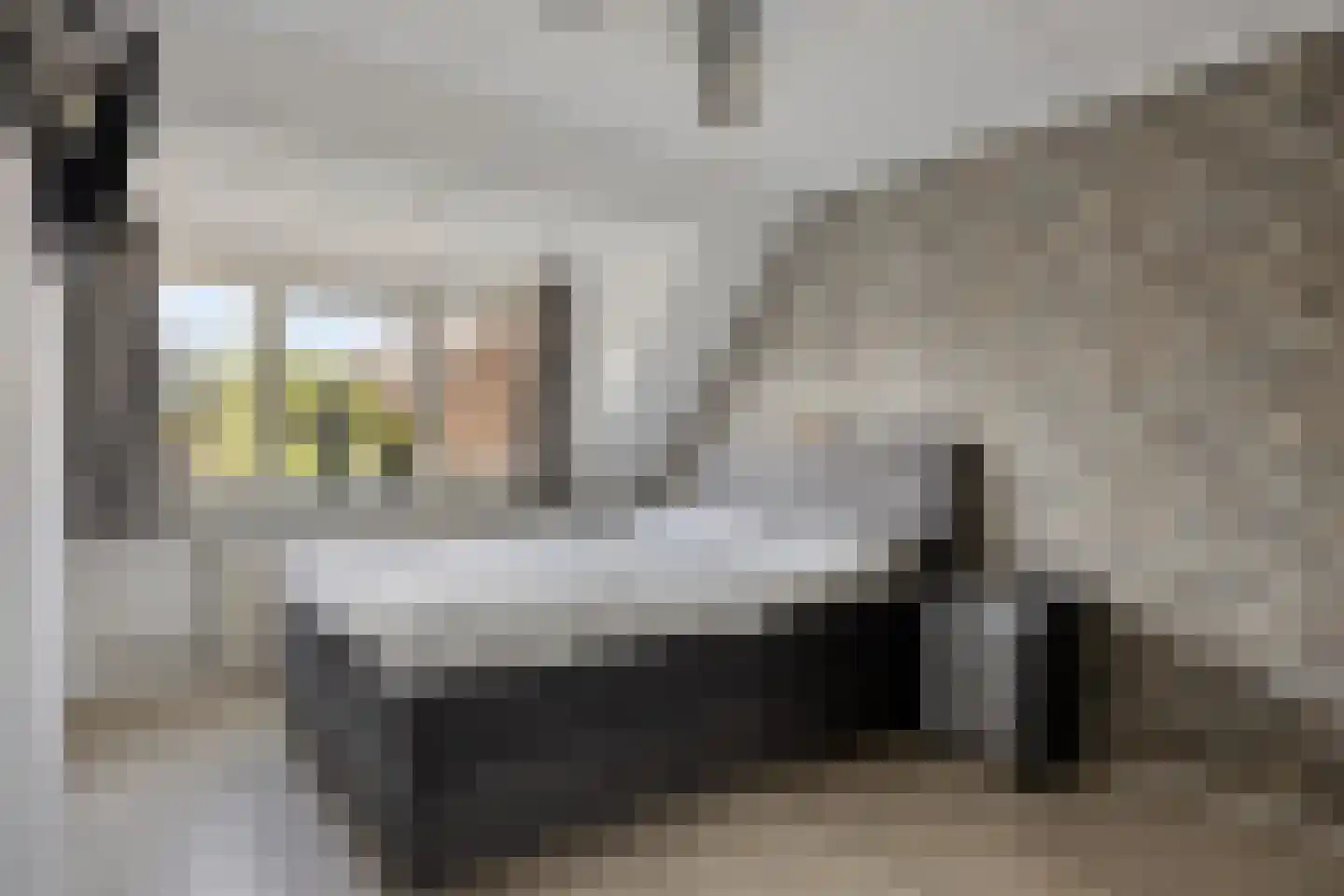 Wilgehaantje 10 Deventer thumbnail 15