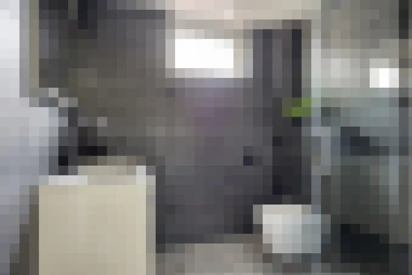 Wilgehaantje 10 Deventer thumbnail 17
