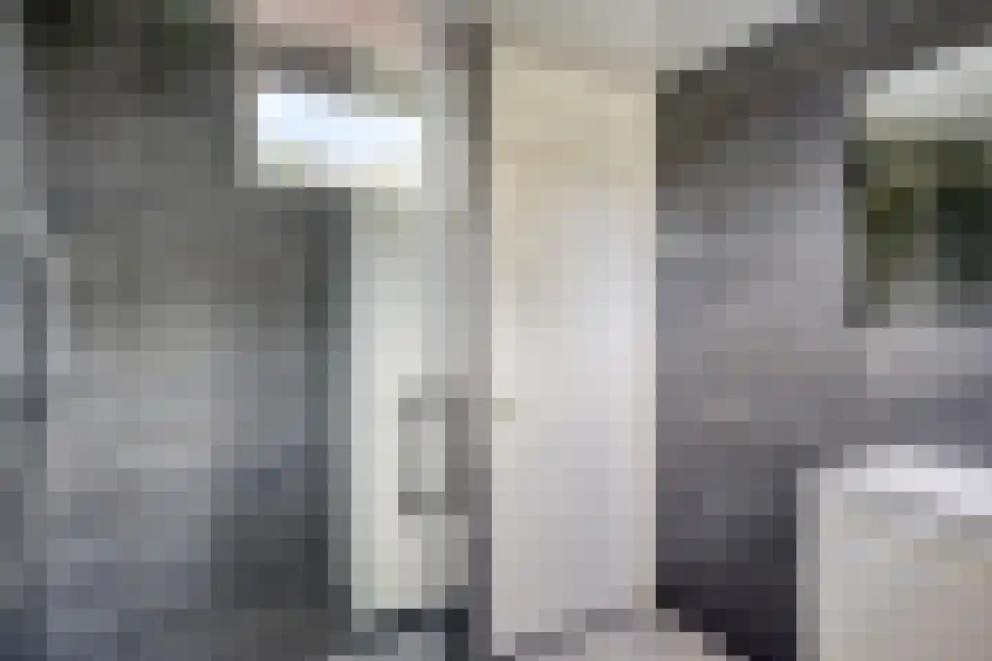 Wilgehaantje 10 Deventer thumbnail 18