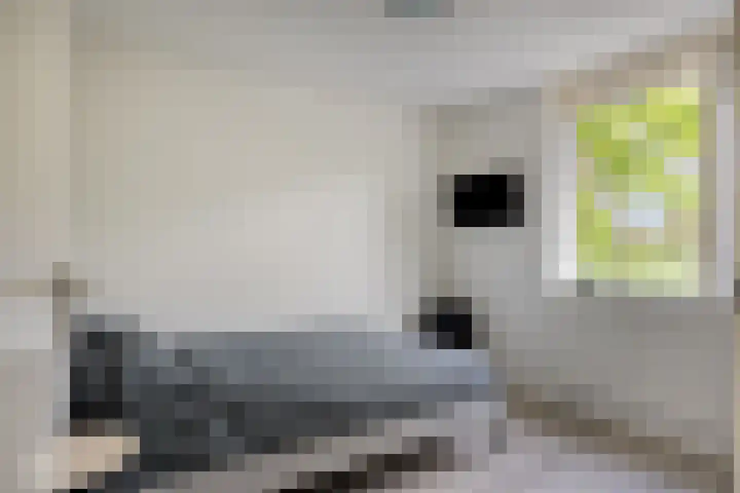 Wilgehaantje 10 Deventer thumbnail 20