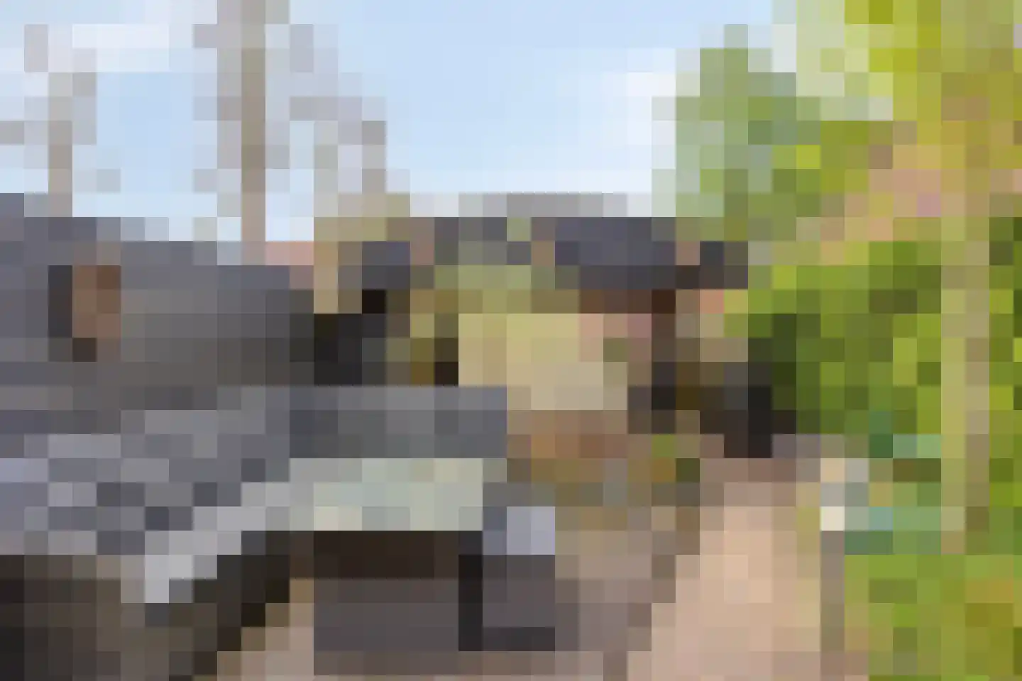 Wilgehaantje 10 Deventer thumbnail 28