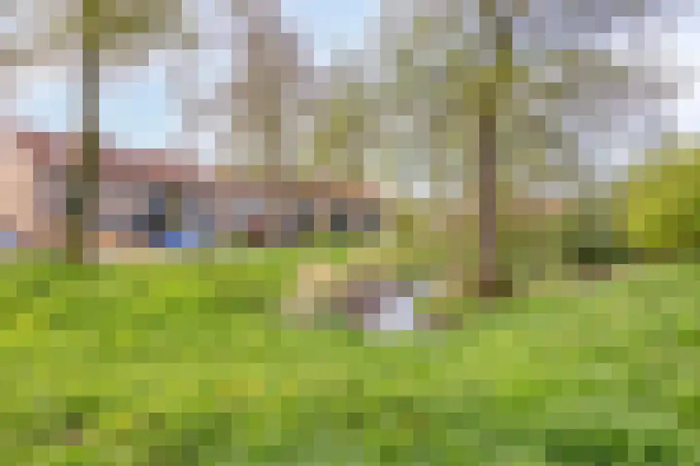 Wilgehaantje 10 Deventer thumbnail 33