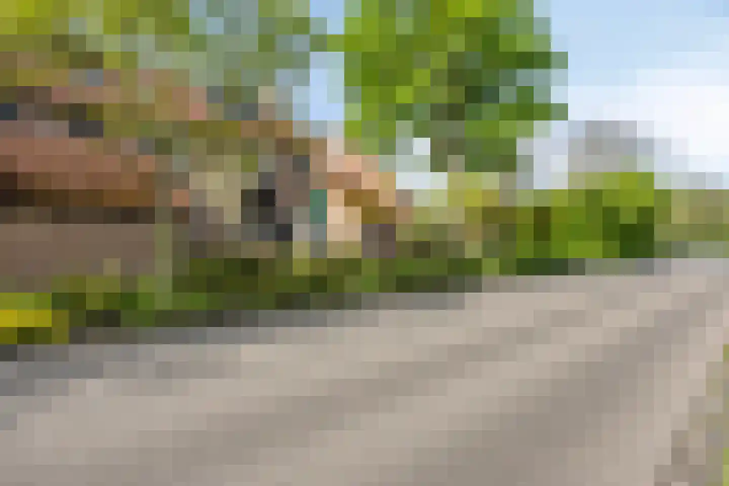Wilgehaantje 10 Deventer thumbnail 4