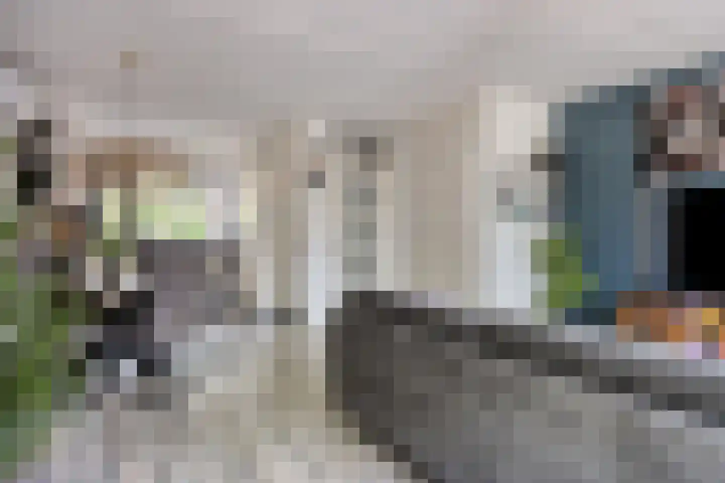 Wilgehaantje 10 Deventer thumbnail 7