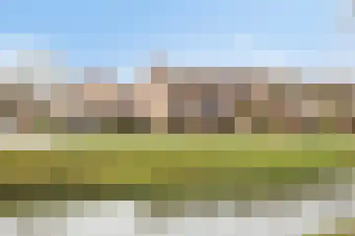 Wilgehaantje 24 in Deventer