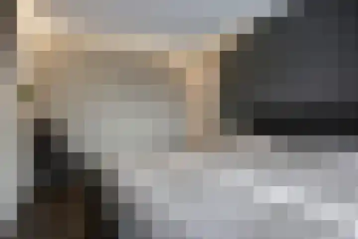 Wilgehaantje 24 Deventer thumbnail 16