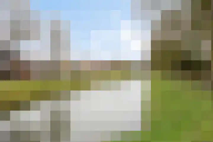 Wilgehaantje 24 Deventer thumbnail 33