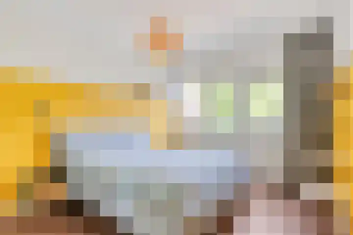 Wilgehaantje 4 Deventer thumbnail 12