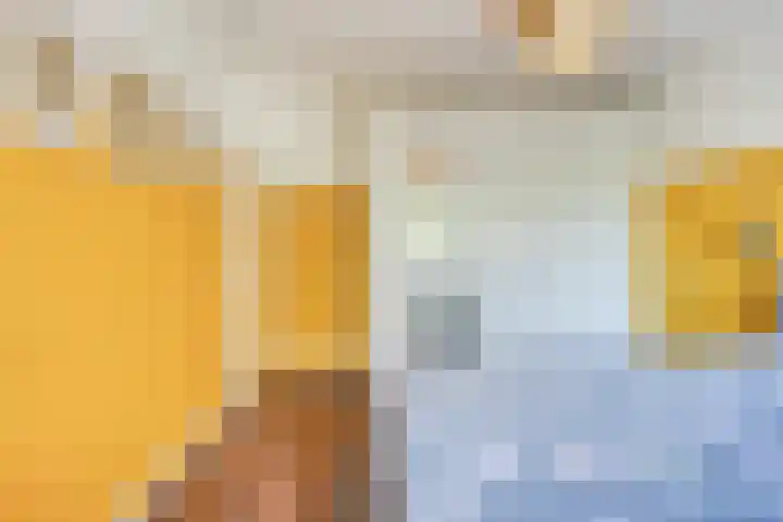 Wilgehaantje 4 Deventer thumbnail 13